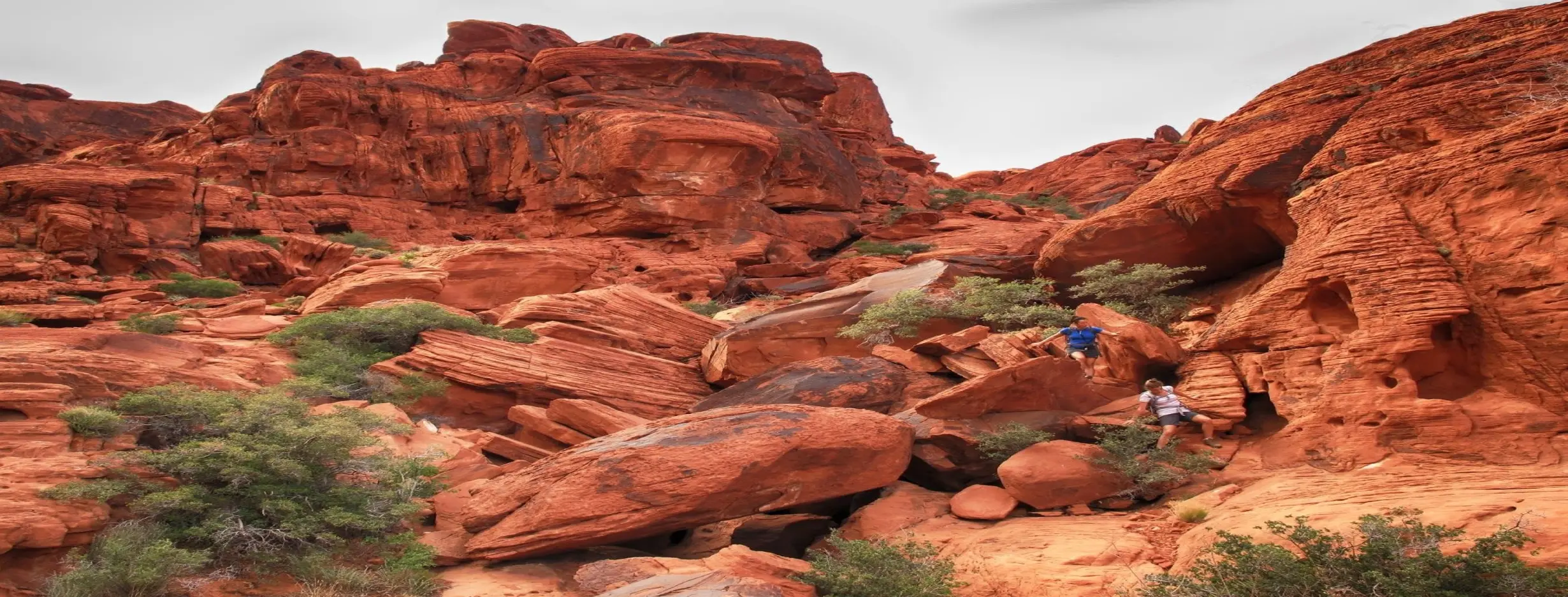 Image for Red Rock Canyon